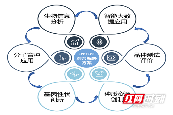 种质资源 生物技术 大数据=生物种业4.0时代