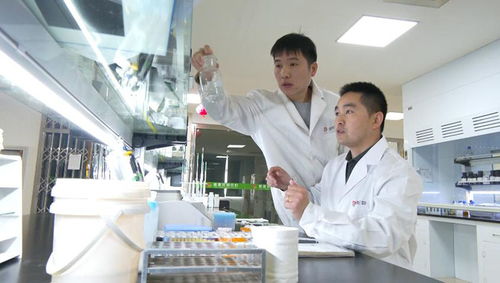 当涂 让企业成为科技创新主动力