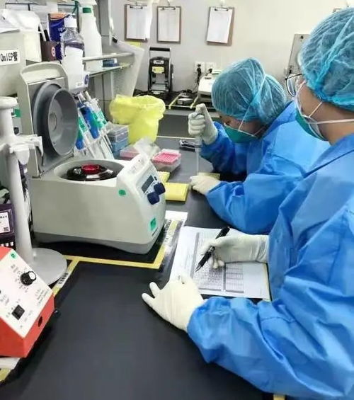 生物安全,中国正筑起一道 防火墙