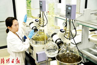 洛阳泽达慧康医药 大力研发新品中药 助推健康产业升级
