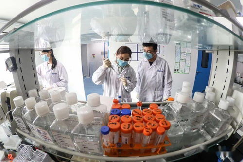 20天内完成4项产品研发,高新区生物科技圈有支 青年军团