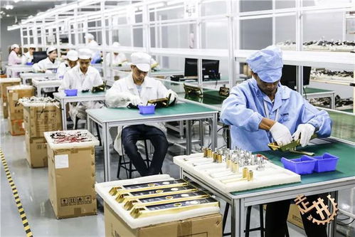 用 血管 解锁开门 宜宾企业竟把这个产品生产出来了