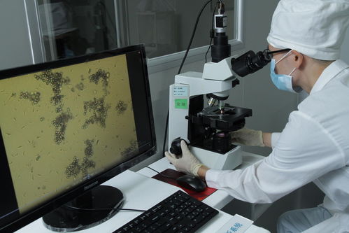 华康生物医学与高新企业合作 利用科技前沿 发展辅助生殖市场