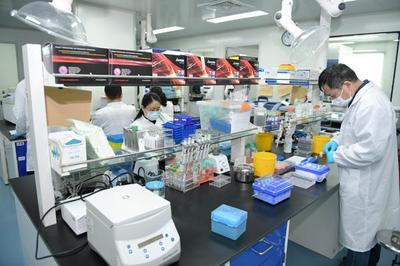战胜疫病需科技支撑,李强赴上海生物医药企业实地调研