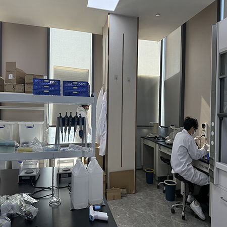上海酶联生物科技,以酶联技术,赋能生命科学研究