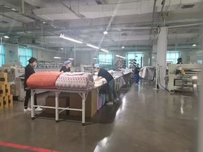 跟着省委书记去观摩 滨州动能换 芯 传统产业焕新