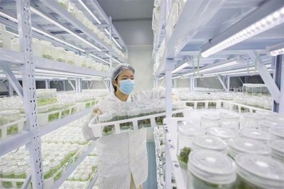 “植物工厂”
