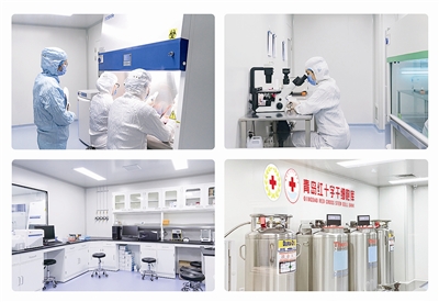 发力细胞免疫治疗赛道，青岛生物科技企业完成数千万元融资