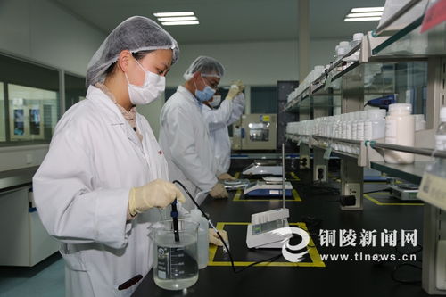 强化生物科技研发，引领可持续发展新篇章