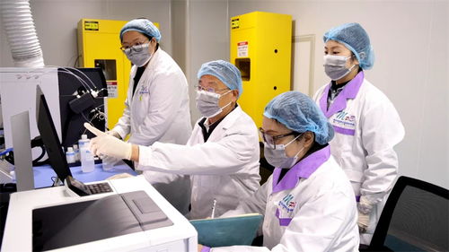 安徽南陵 让科技说话 用智能种养